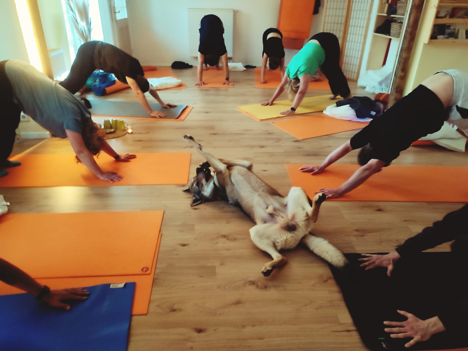 Gemeinsame Yogapraxis auf Matten