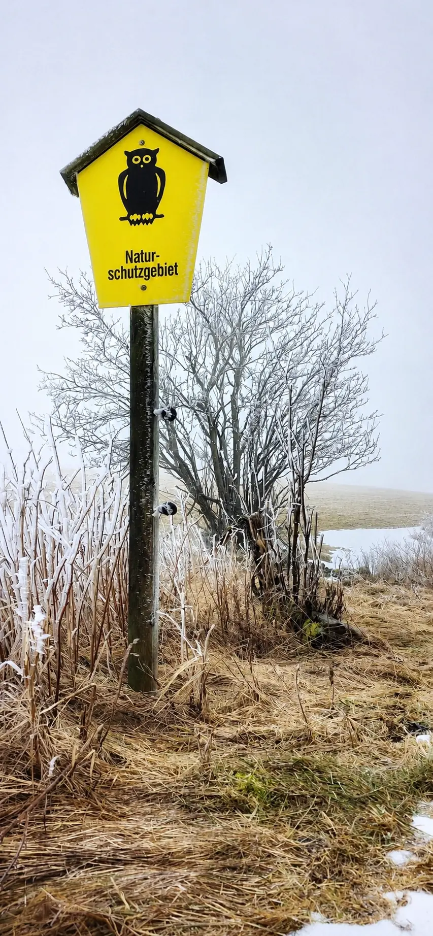 Winterliche Landschaft am Naturschutzgebiet