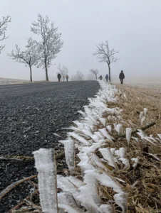 Gemeinsame Wanderung entlang einer von Raureif gesäumten Straße