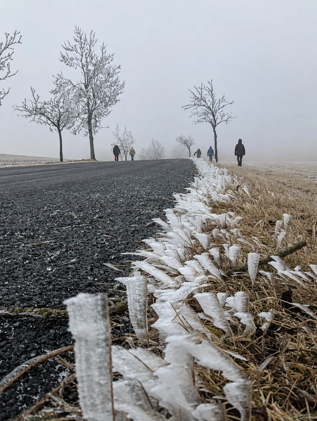 Gemeinsame Wanderung entlang einer von Raureif gesäumten Straße