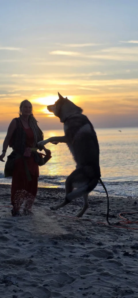 ostsee_abschluss4_kerstinHund