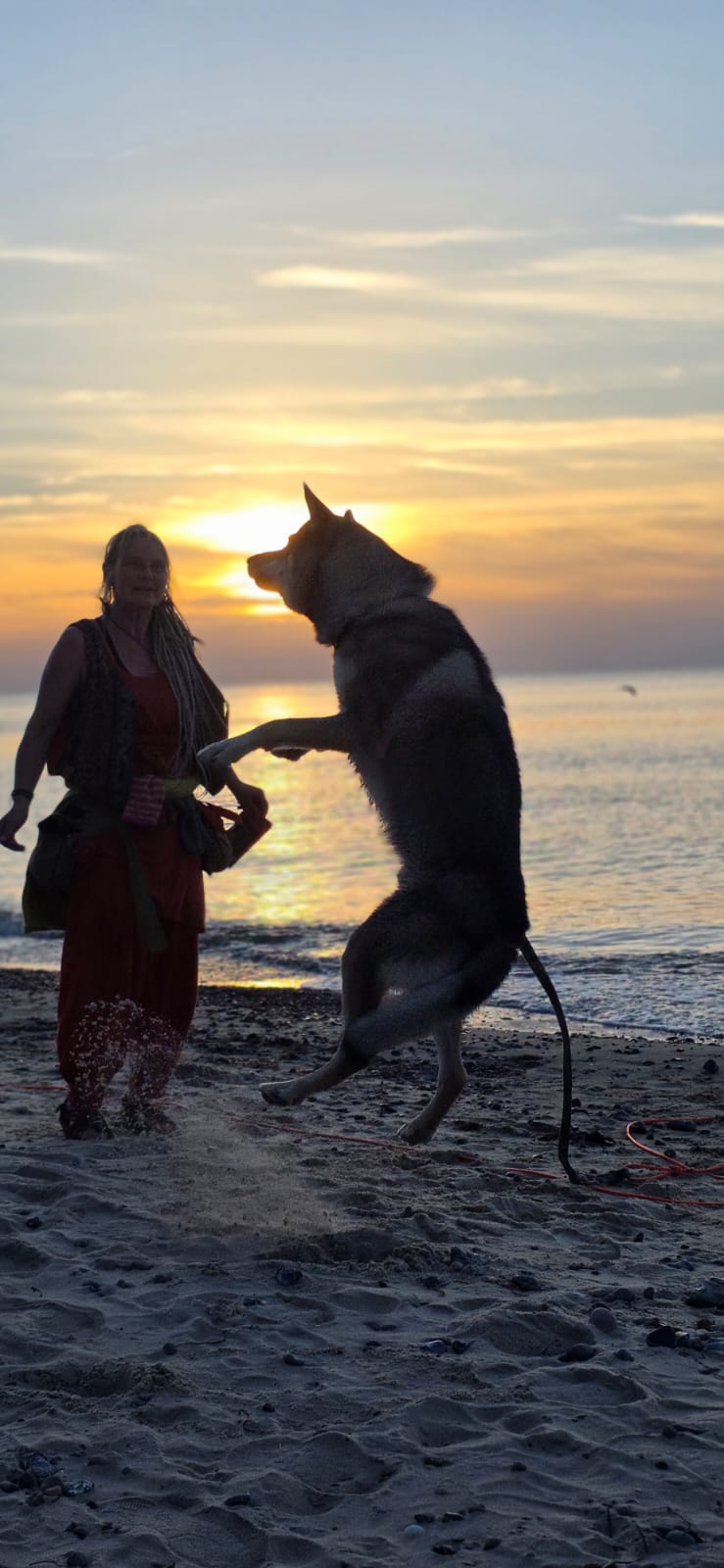 ostsee_abschluss4_kerstinHund